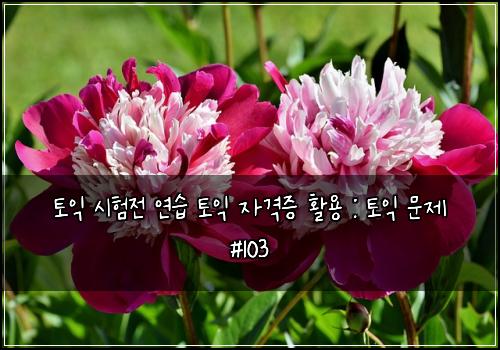 토익 시험전 연습 토익 자격증 활용 : 토익 문제 #103