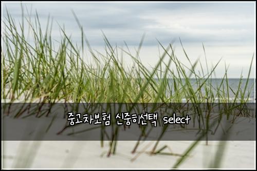 중고차보험 신중히선택  select