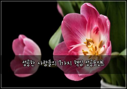 성공한 사람들의 7가지 핵심 성공포인트