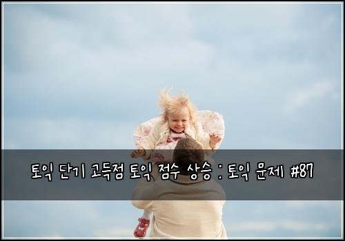 토익 단기 고득점 토익 점수 상승 : 토익 문제 #87