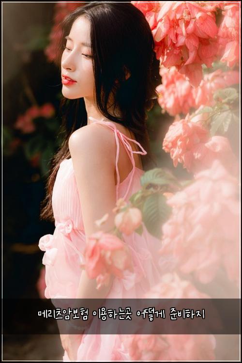 메리츠암보험 이용하는곳  어떻게 준비하지