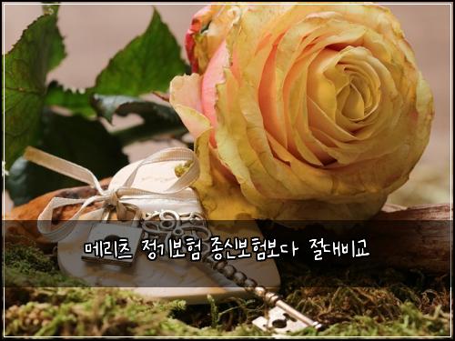 메리츠 정기보험 종신보험보다 절대비교