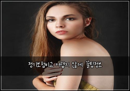 정기보험비교 어렵지 않게 꿀팁정보