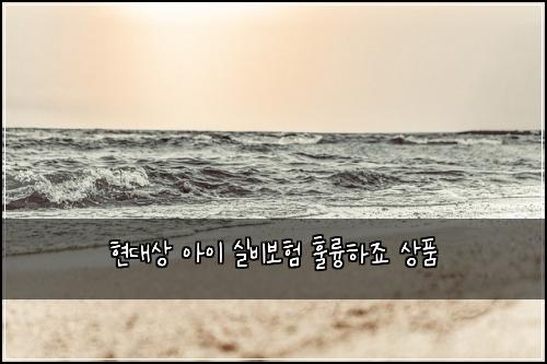 ํ๋์ ์์ด ์ค๋น๋ณดํ ํ๋ฅญํ์ฃ ์ํ