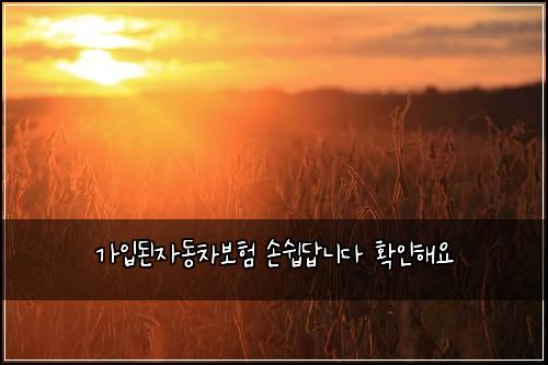 가입된자동차보험 손쉽답니다  확인해요