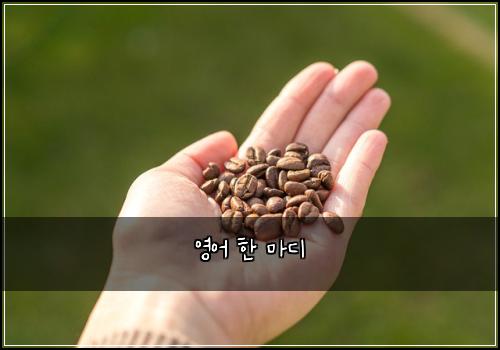 영어 한 마디