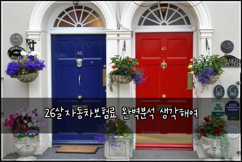 26살자동차보험료 완벽분석 생각해여