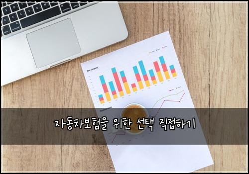 자동차보험을 위한 선택 직접하기