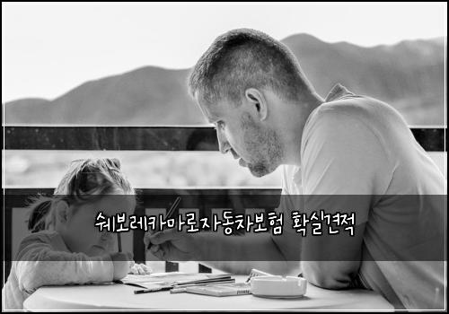 쉐보레카마로자동차보험 확실견적 