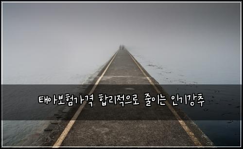 태아보험가격 합리적으로 줄이는 인기강추