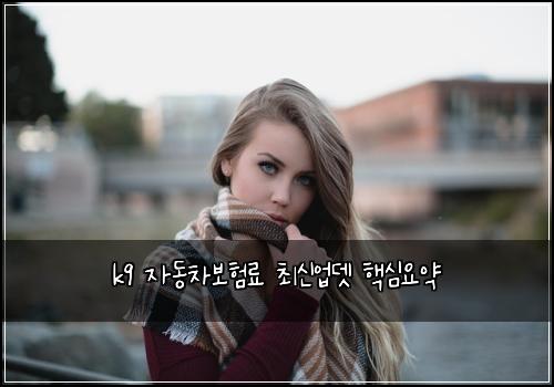 k9 자동차보험료 최신업뎃 핵심요약