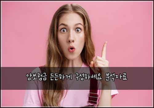 암보험금 든든하게 구성하세요 분석자료