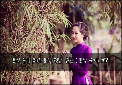 토익 문법 체크 토익 정답 유형 : 토익 문제 #57