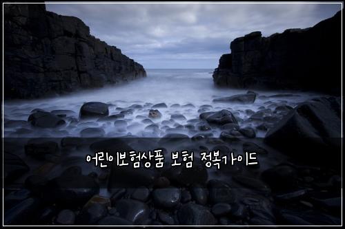 ์ด๋ฆฐ์ด๋ณดํ์ํ ๋ณดํ ์ ๋ณต๊ฐ์ด๋