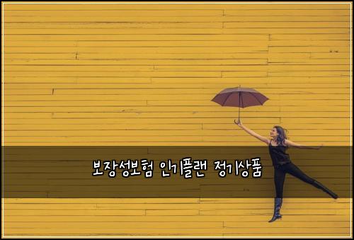보장성보험 인기플랜  정기상품