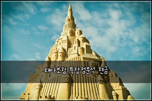 태아보험 특장점분석  현금