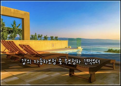 ๊ฐ์ ์๋์ฐจ๋ณดํ ์ค ๋ฌด๋ณดํ์ฐจ ๊ฒฌ์ ๋ถํฐ