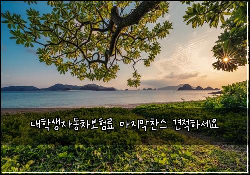 대학생자동차보험료 마지막찬스 견적하세요
