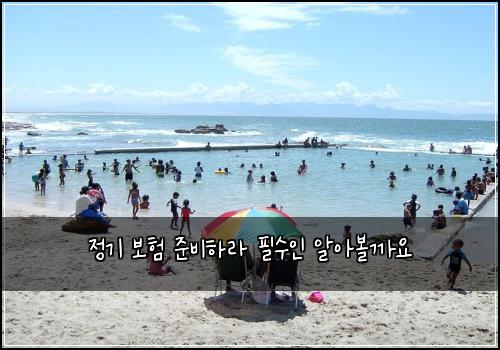 정기 보험 준비하라  필수인 알아볼까요