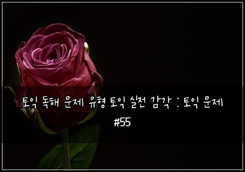 토익 독해 문제 유형 토익 실전 감각 : 토익 문제 #55
