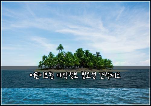 μ΄λ¦°μ΄λ³΄ν λλ°μ 보 νμμ± κ²¬μ 체ν¬