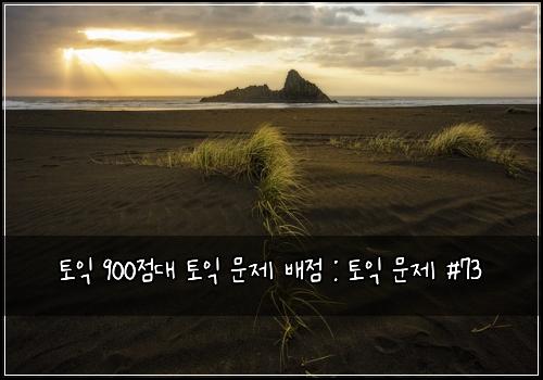 토익 900점대 토익 문제 배점 : 토익 문제 #73