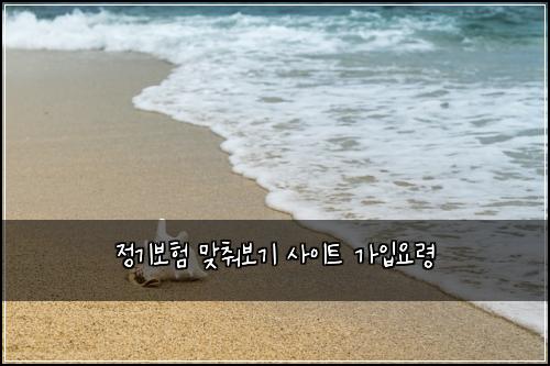 정기보험 맞춰보기  사이트 가입요령
