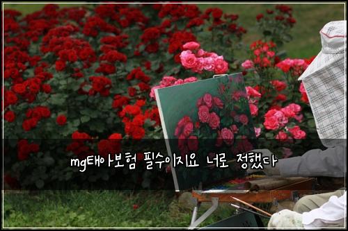 mgํ์๋ณดํ ํ์์ด์ง์ ๋๋ก ์ ํ๋ค