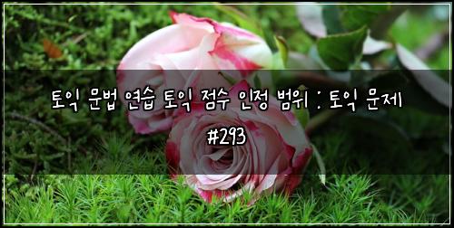 토익 문법 연습 토익 점수 인정 범위 : 토익 문제 #293