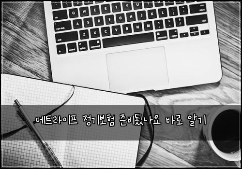 메트라이프 정기보험 준비됬나요  바로 알기