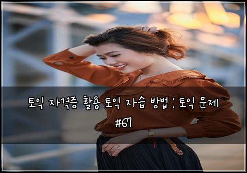 토익 자격증 활용 토익 자습 방법 : 토익 문제 #67