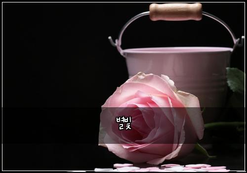 별빛