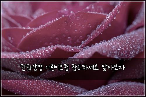 한화생명 어린이보험 참고하세요  알아보자
