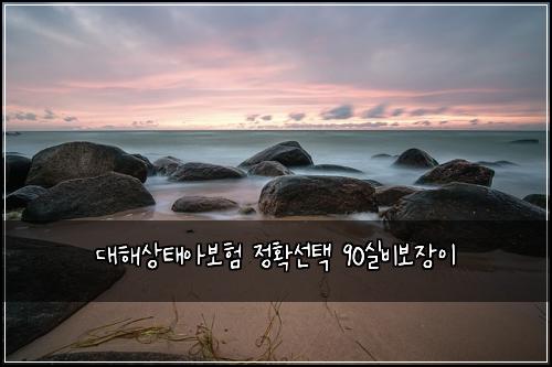 ๋ํด์ํ์๋ณดํ ์ ํ์ ํ 90์ค๋น๋ณด์ฅ์ด