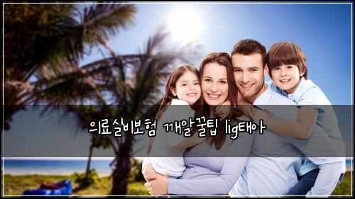의료실비보험 깨알꿀팁  lig태아
