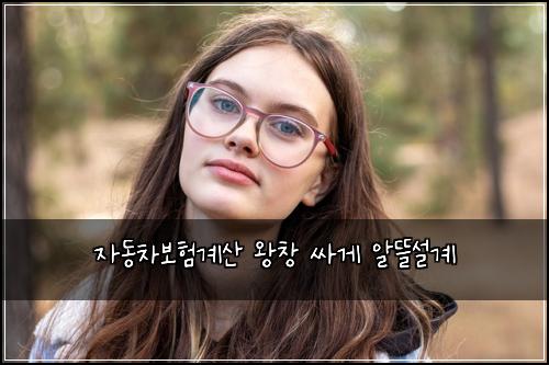 자동차보험계산 왕창 싸게 알뜰설계