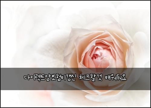 ๋ค์ด๋ ํธ์๋ณดํ๋น๊ฐฑ์ ์ฒดํฌํ ๊ฒ ๋ฐฐ์๋ฌ์