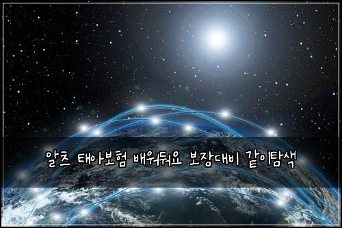 알츠 태아보험 배워둬요  보장대비 같이탐색