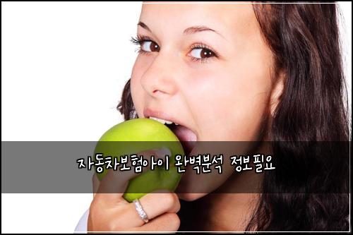 ์๋์ฐจ๋ณดํ์์ด ์๋ฒฝ๋ถ์ ์ ๋ณดํ์
