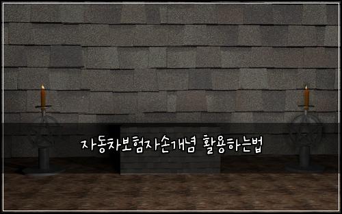 자동차보험자손개념 활용하는법