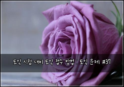 토익 시험 대비 토익 접수 방법 : 토익 문제 #37