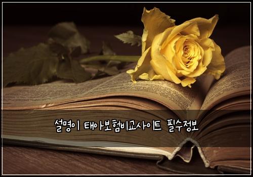 설명이 태아보험비교사이트 필수정보