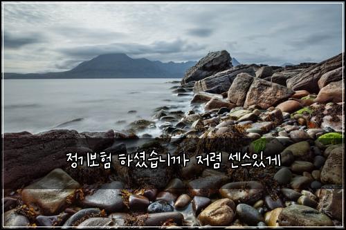 정기보험 하셨습니까  저렴 센스있게