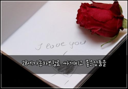 28세자동차보험료 싸게비교 좋은상품을
