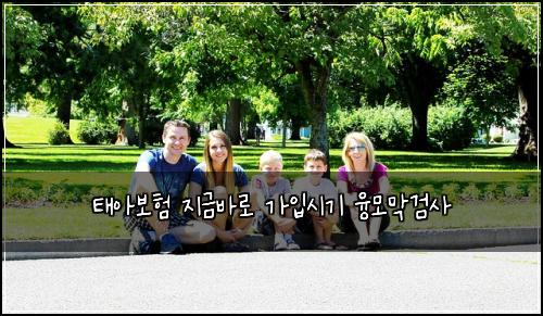 태아보험 지금바로  가입시기 융모막검사