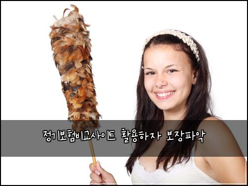 정기보험비교사이트 활용하자 보장파악