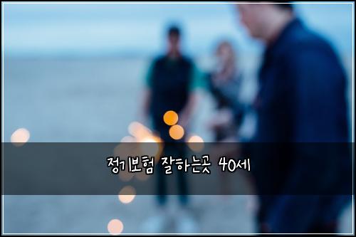 정기보험 잘하는곳  40세
