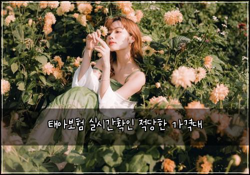 태아보험 실시간확인  적당한 가격대
