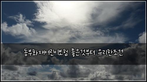동부화재어린이보험 좋은것부터  유리한조건