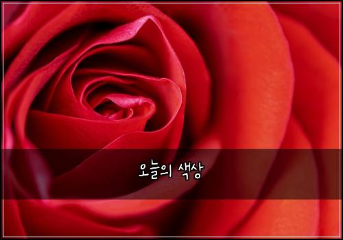 오늘의 색상